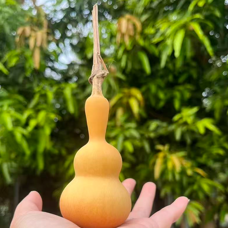 萧哈哈葫芦（一物一拍链接）