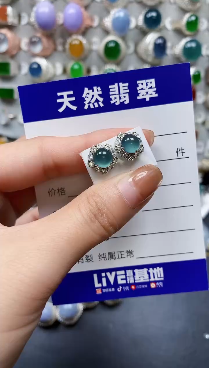 【闪购商品】翡翠耳饰银S925镶嵌0145