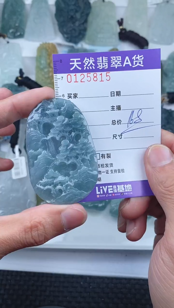 【闪购商品】翡翠颈饰未镶嵌        815