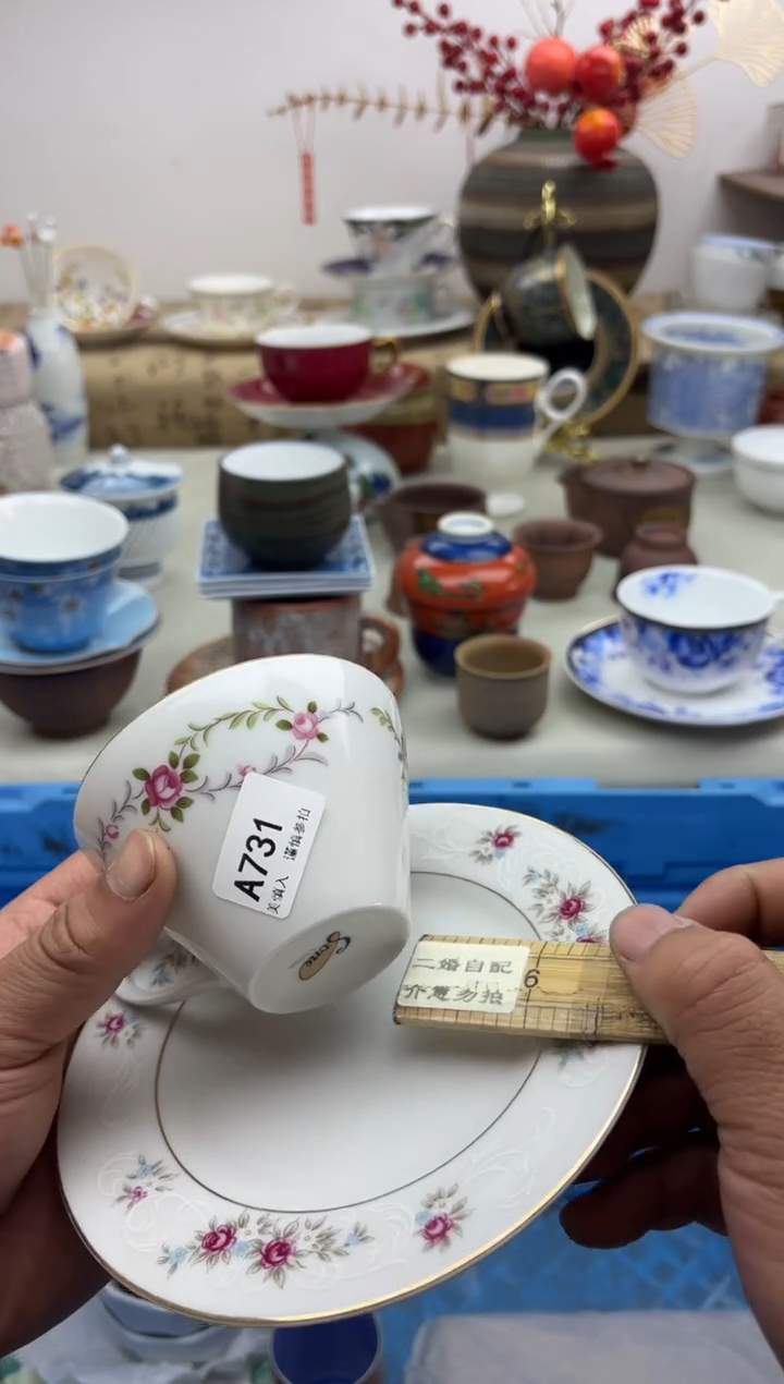 【闪购商品】碟A731............