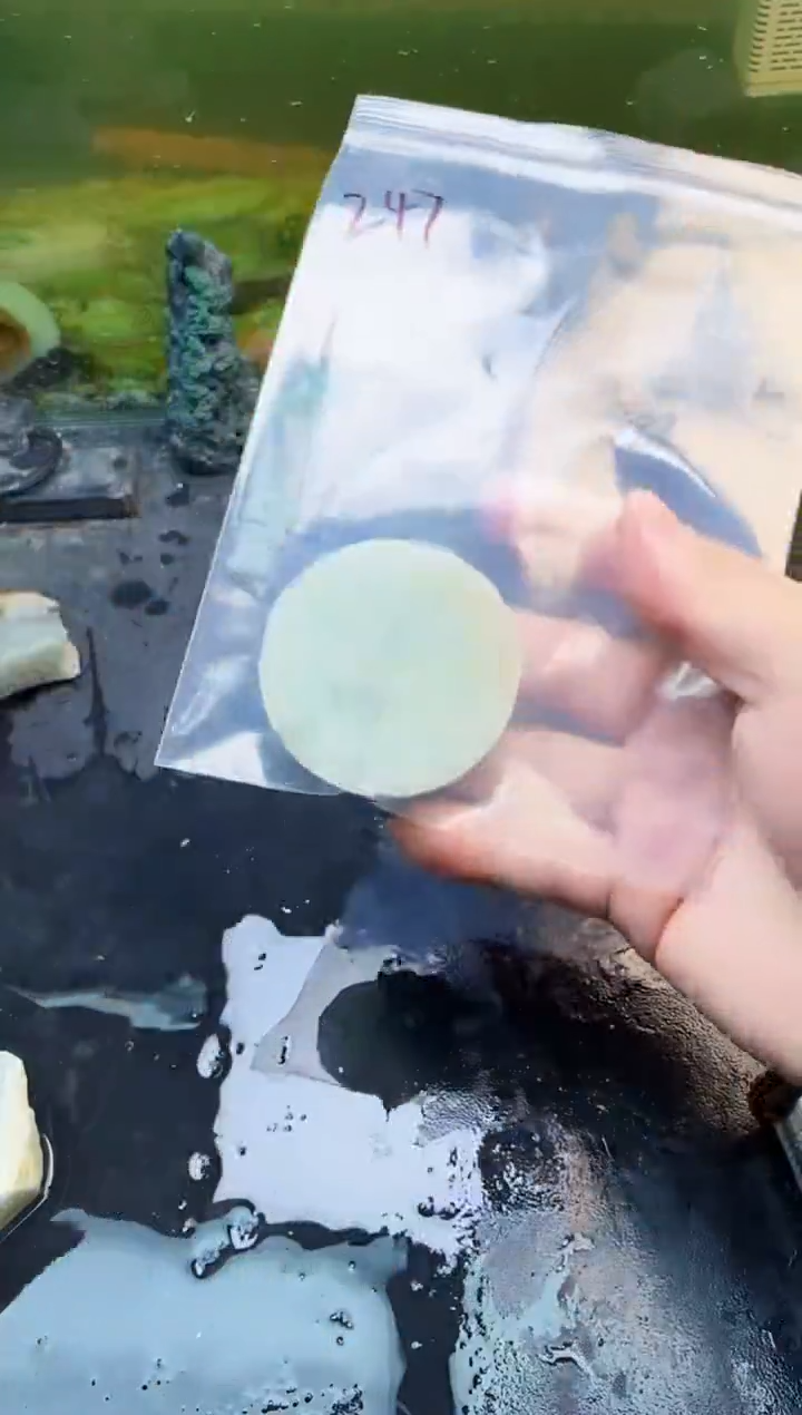 翡翠未镶嵌颈饰天然翡翠247