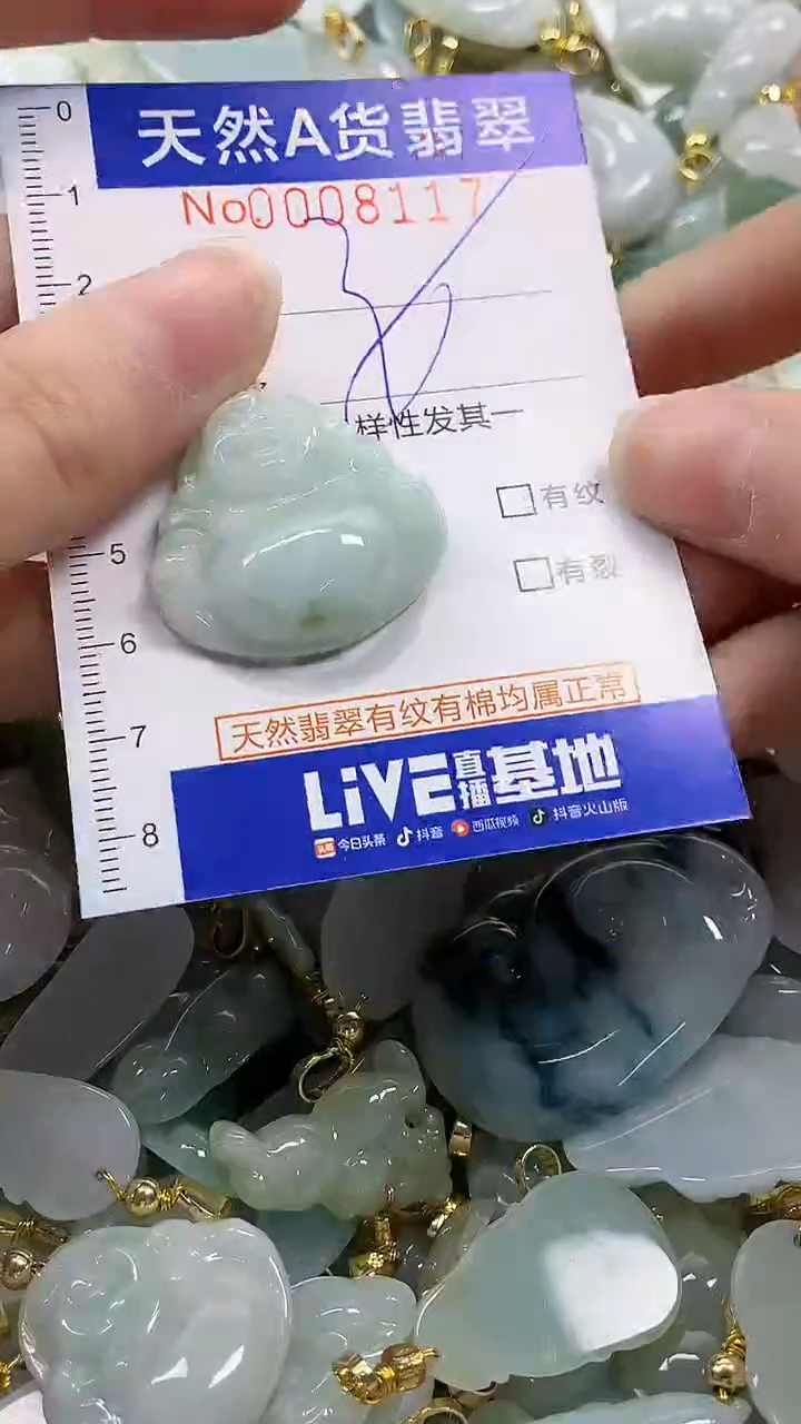 颈饰未镶嵌翡翠天然A货翡翠