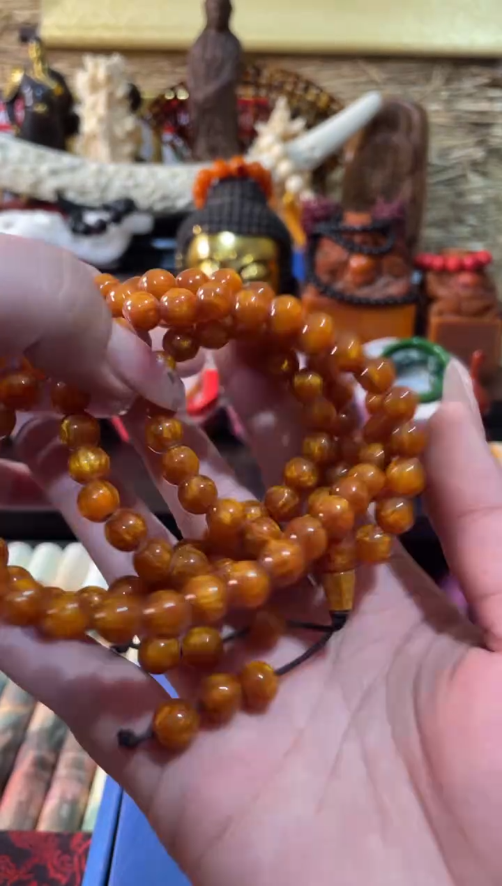 【闪购商品】一一一一一一海柳108