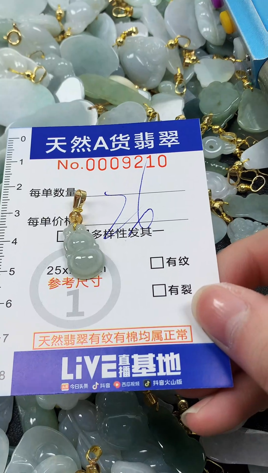 颈饰未镶嵌翡翠纯天然a货翡翠