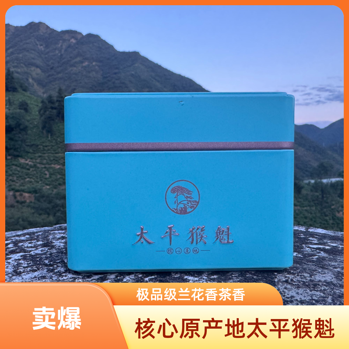 {猴坑村的茶}极品级茶铁罐核心的核心猴坑村猴魁极品级兰香纯手工