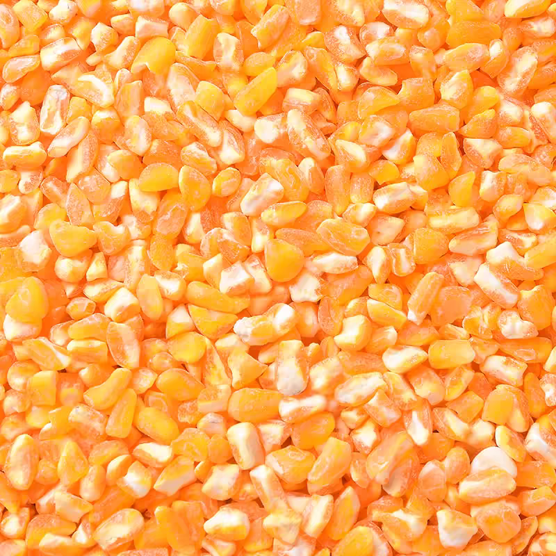 东北农家自产新鲜现磨笨大碴子玉米粒低脂粗粮早餐