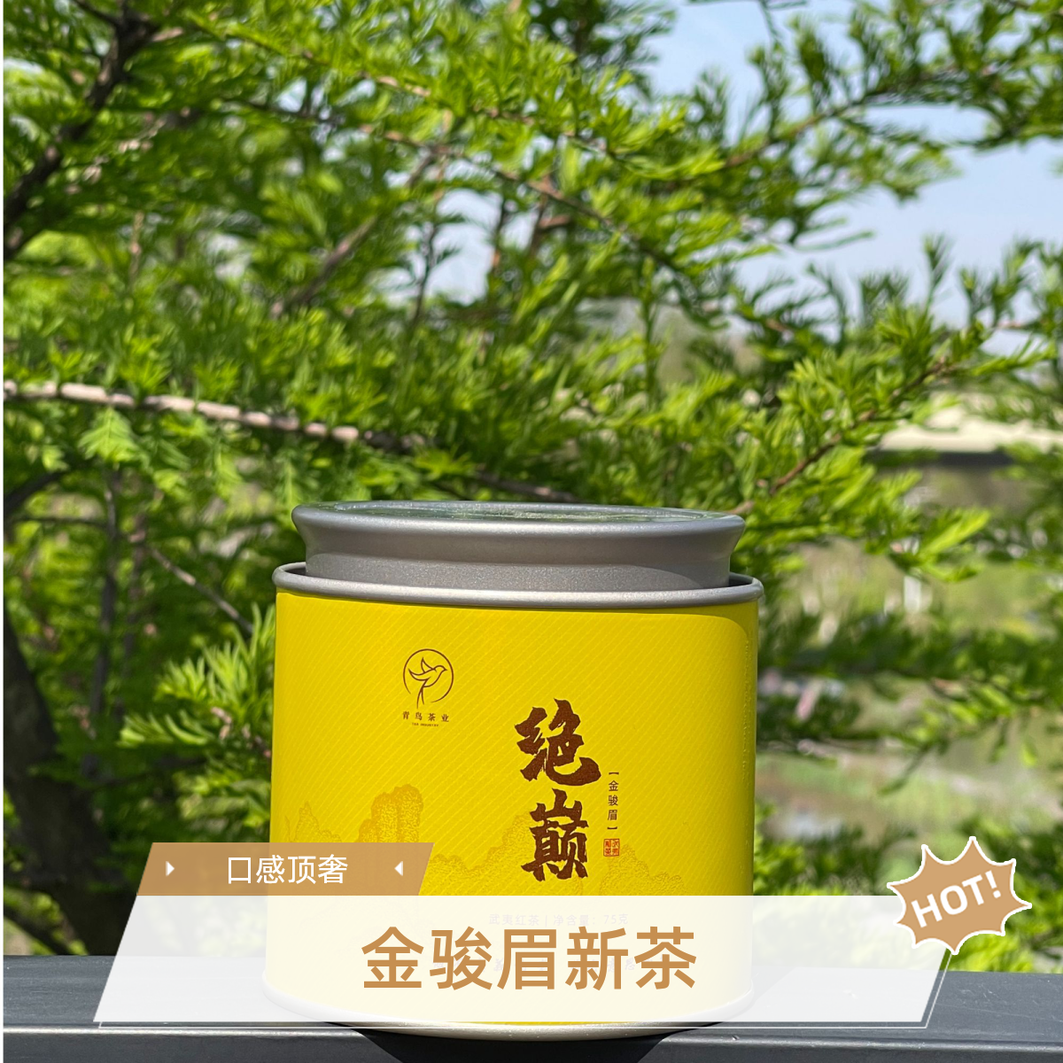 【金骏眉】绝巅——金骏眉，红茶中的劳斯莱斯特级罐装75g2025年新茶