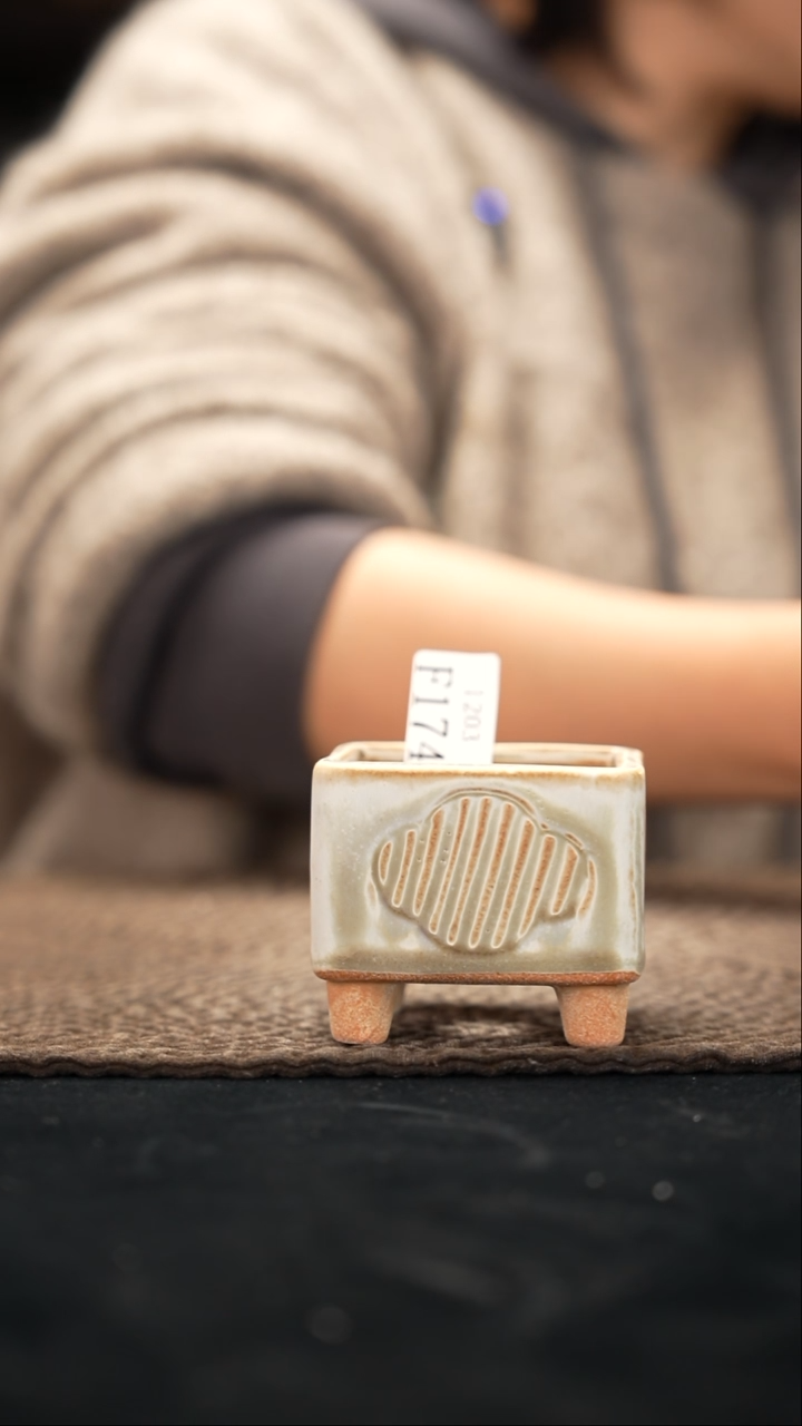 口径6花盆-12-3-174特