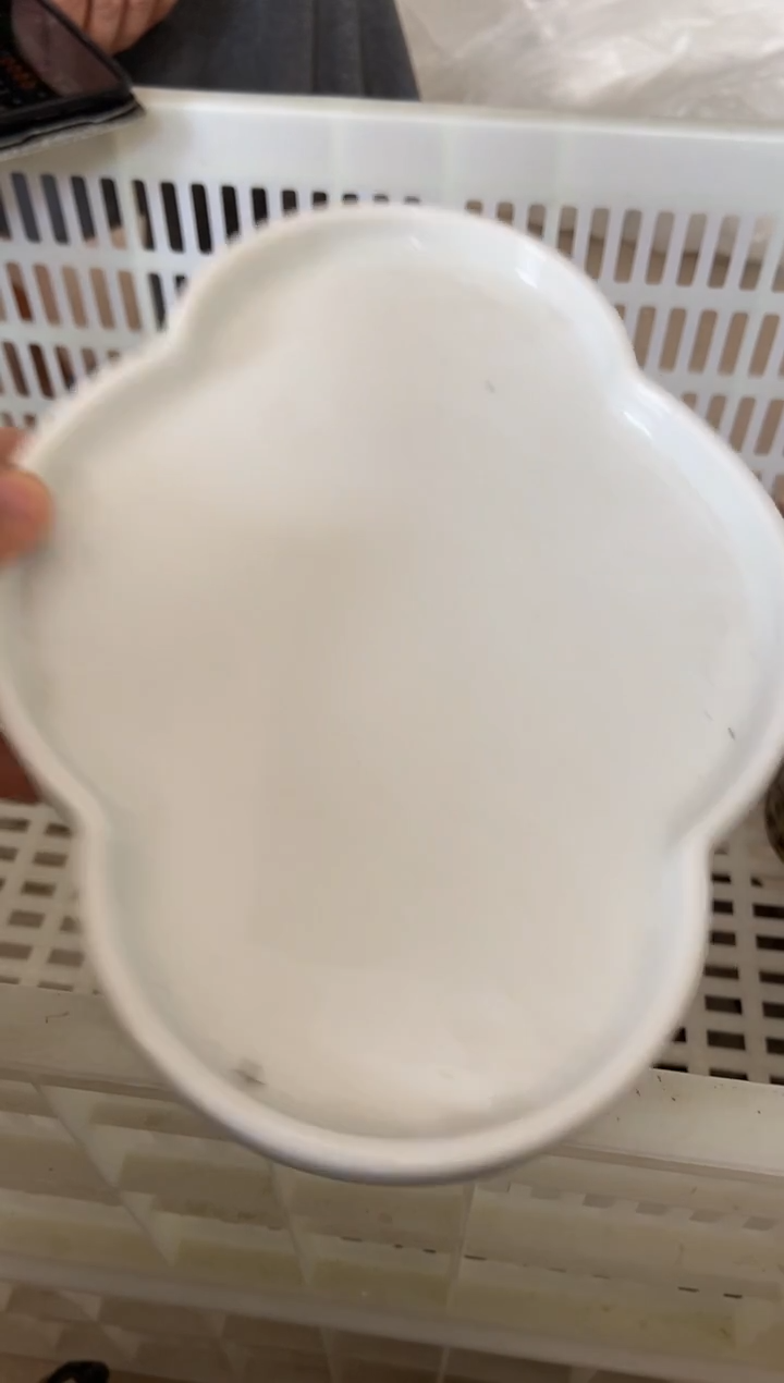 杯子瓷无运费险有瑕疵的摄影的产品有使用过的痕迹有点脏介意勿拍