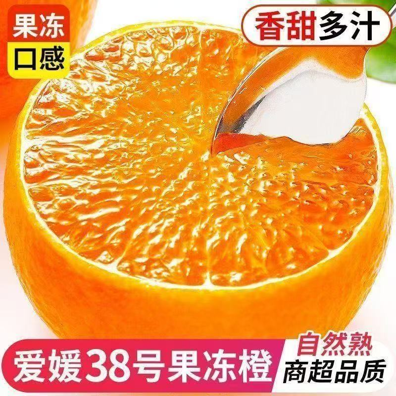 正宗四川眉山爱媛果冻橙新鲜现摘清甜爆汁细腻化渣应季水果XL 