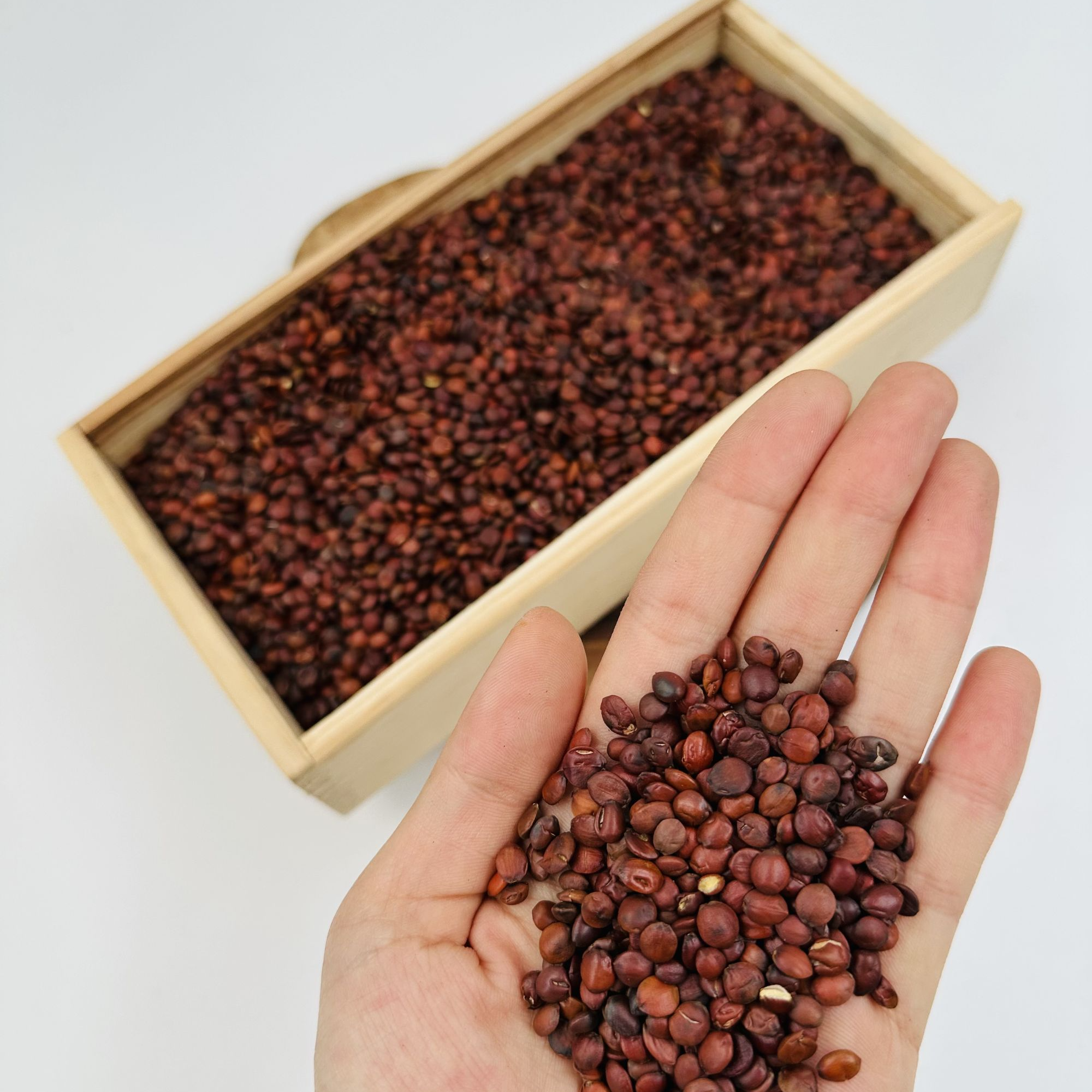 高品质酸枣仁100g
