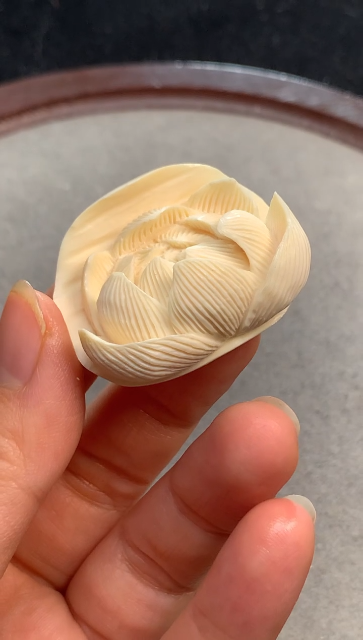 【闪购商品】橄榄核手串/手链猛犸猛犸猛犸猛犸R2