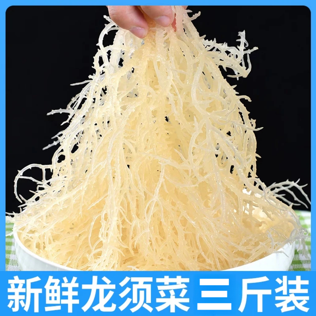 【到手三斤】盐渍半干龙须菜鹿角菜海发菜海藻新鲜营养头茬凉拌菜
