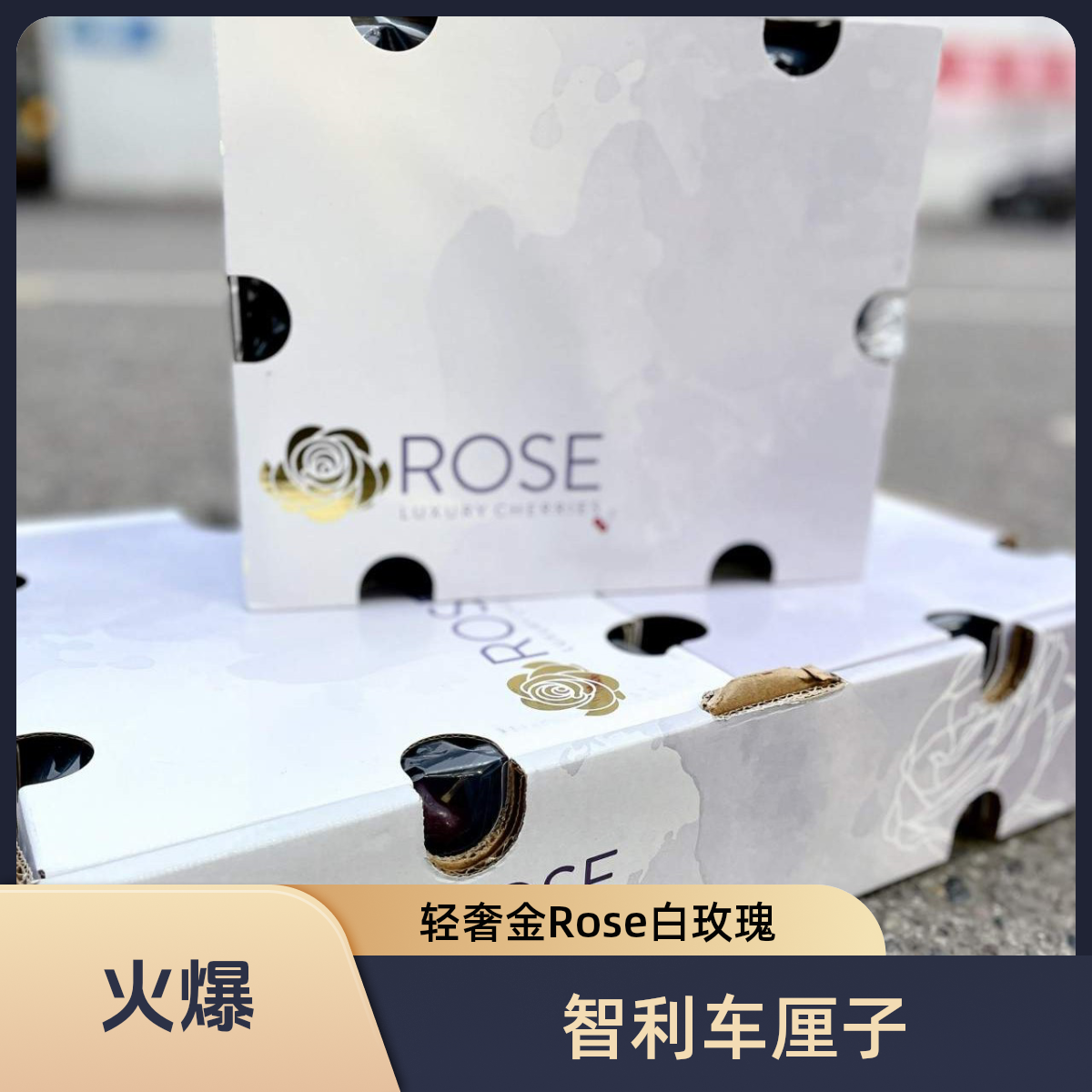 【韩美丽专属】轻奢金Rose白玫瑰 海运3J桑提娜车厘子 内附果径卡