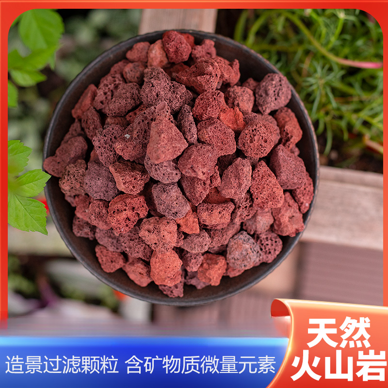 天然火山石红适用造景多肉兰花铺面疏松透气船长花园土铺底过滤