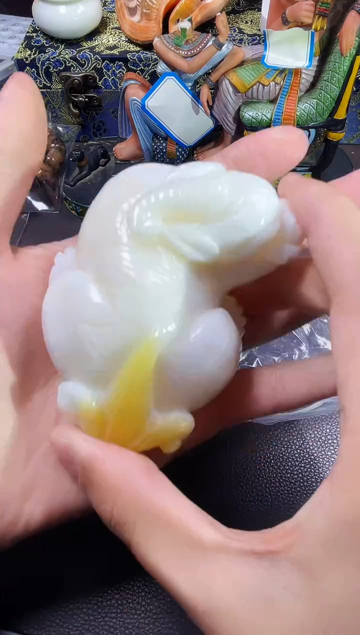 贝壳摆件阿龙精选南海大贝壳十五