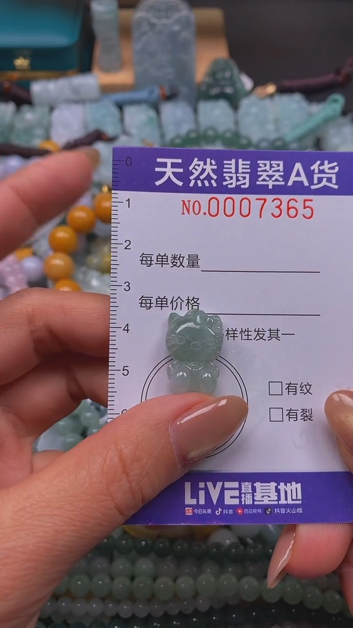 颈饰未镶嵌翡翠闪购0007365