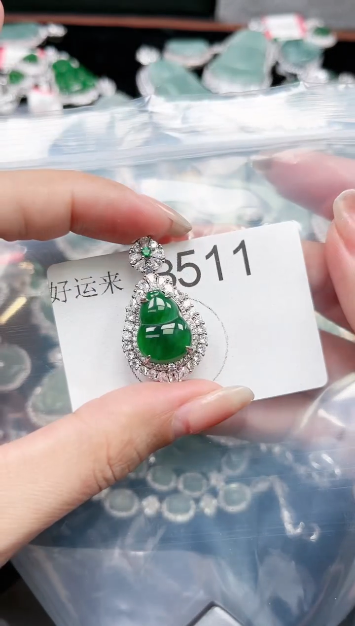 【闪购商品】翡翠颈饰未镶嵌赠皮绳511