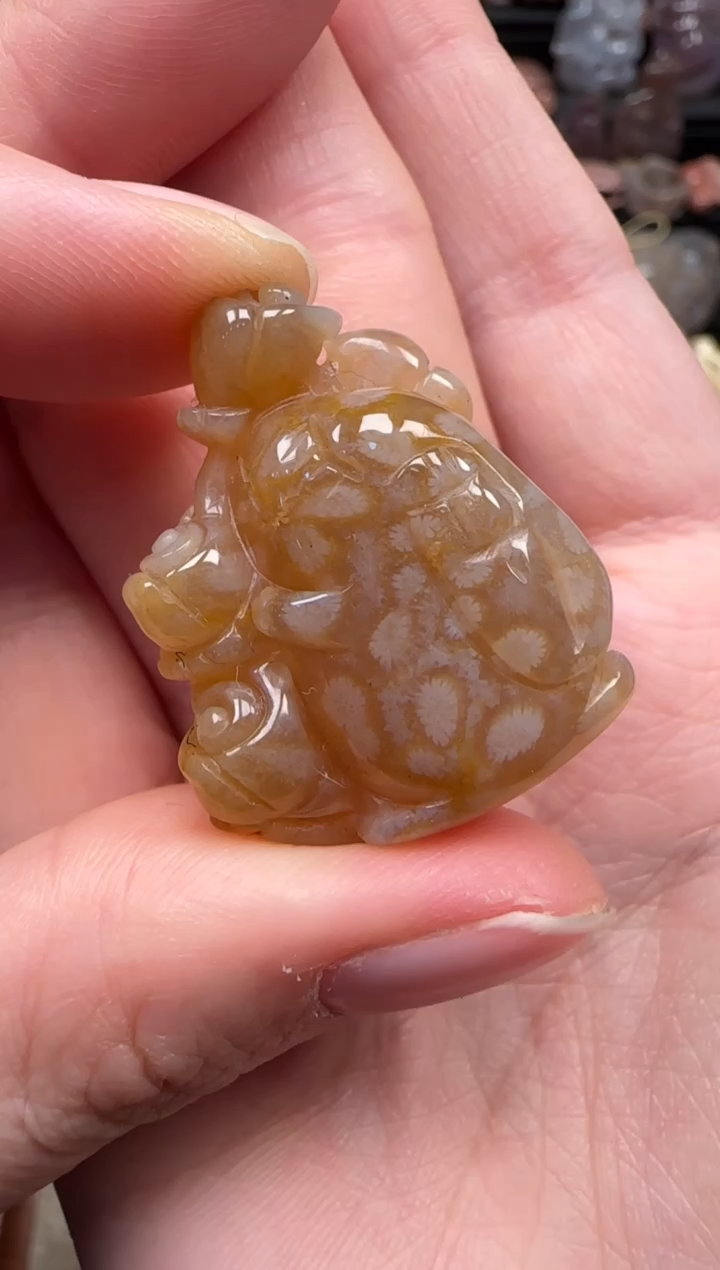 颈饰未镶嵌硅化珊瑚（珊瑚玉）594