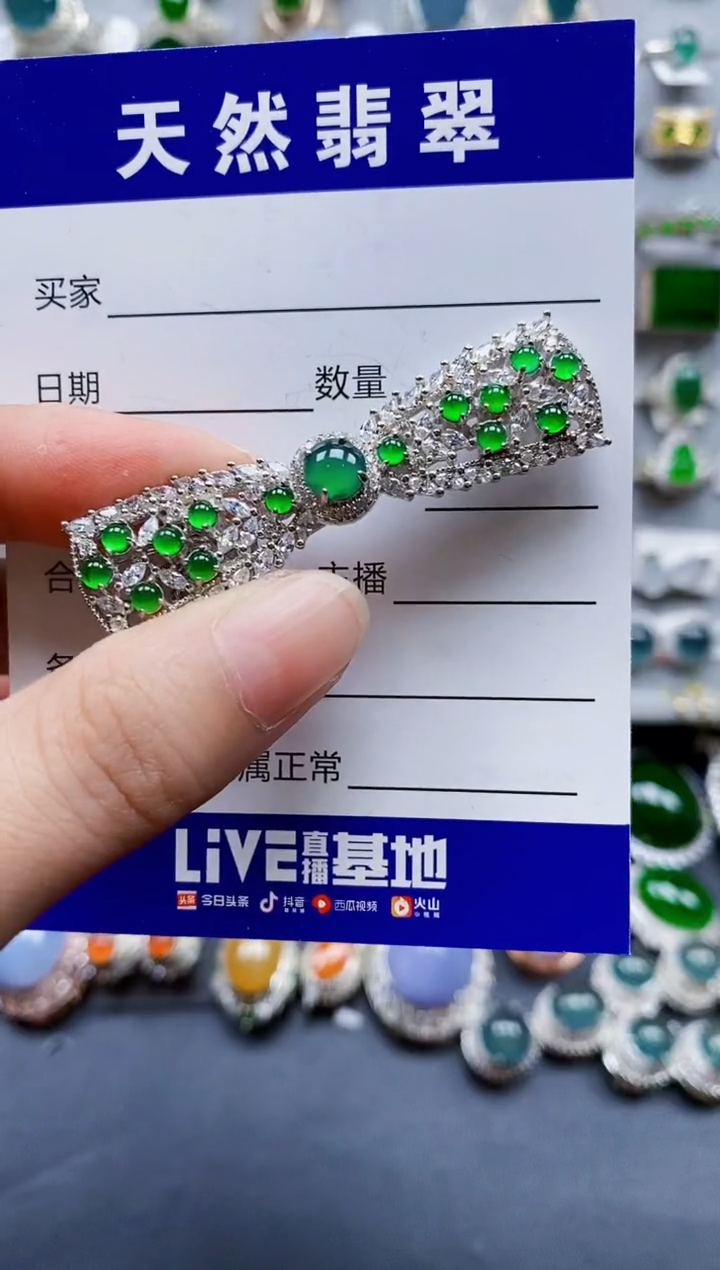 翡翠银S925镶嵌颈饰0147