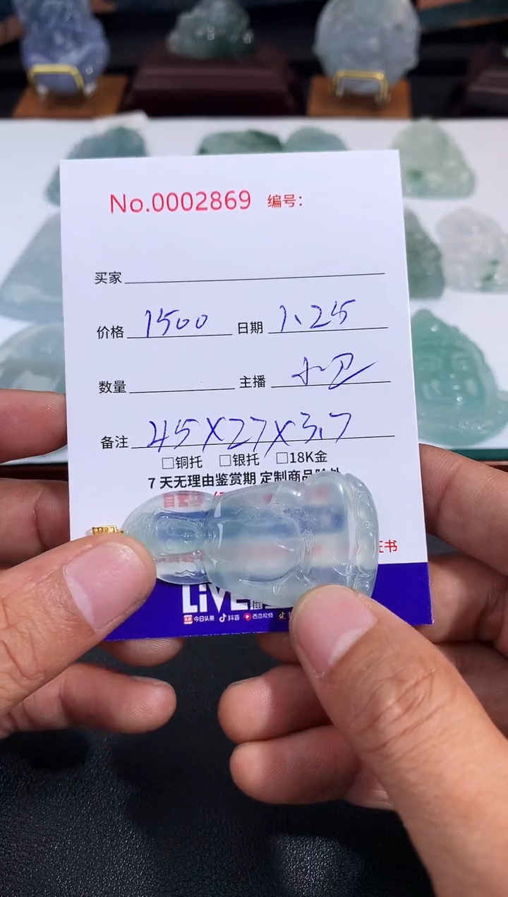 【闪购商品】翡翠颈饰未镶嵌素衣观音