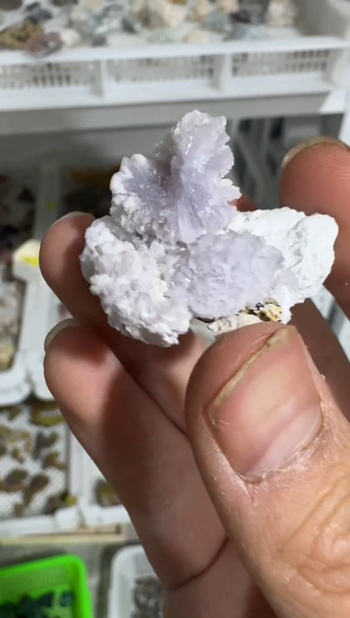 【闪购商品】月下珠宝严选矿物