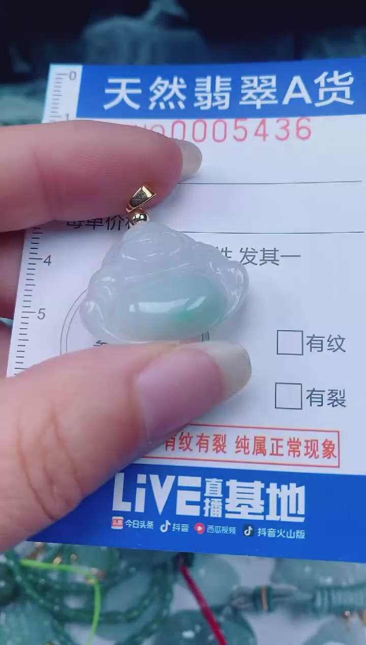 颈饰未镶嵌翡翠00005436