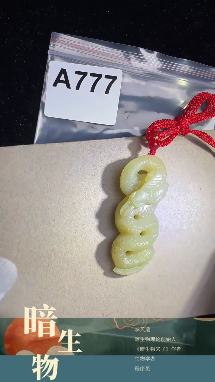 【闪购商品】和田玉吊坠(赠链)未镶嵌777