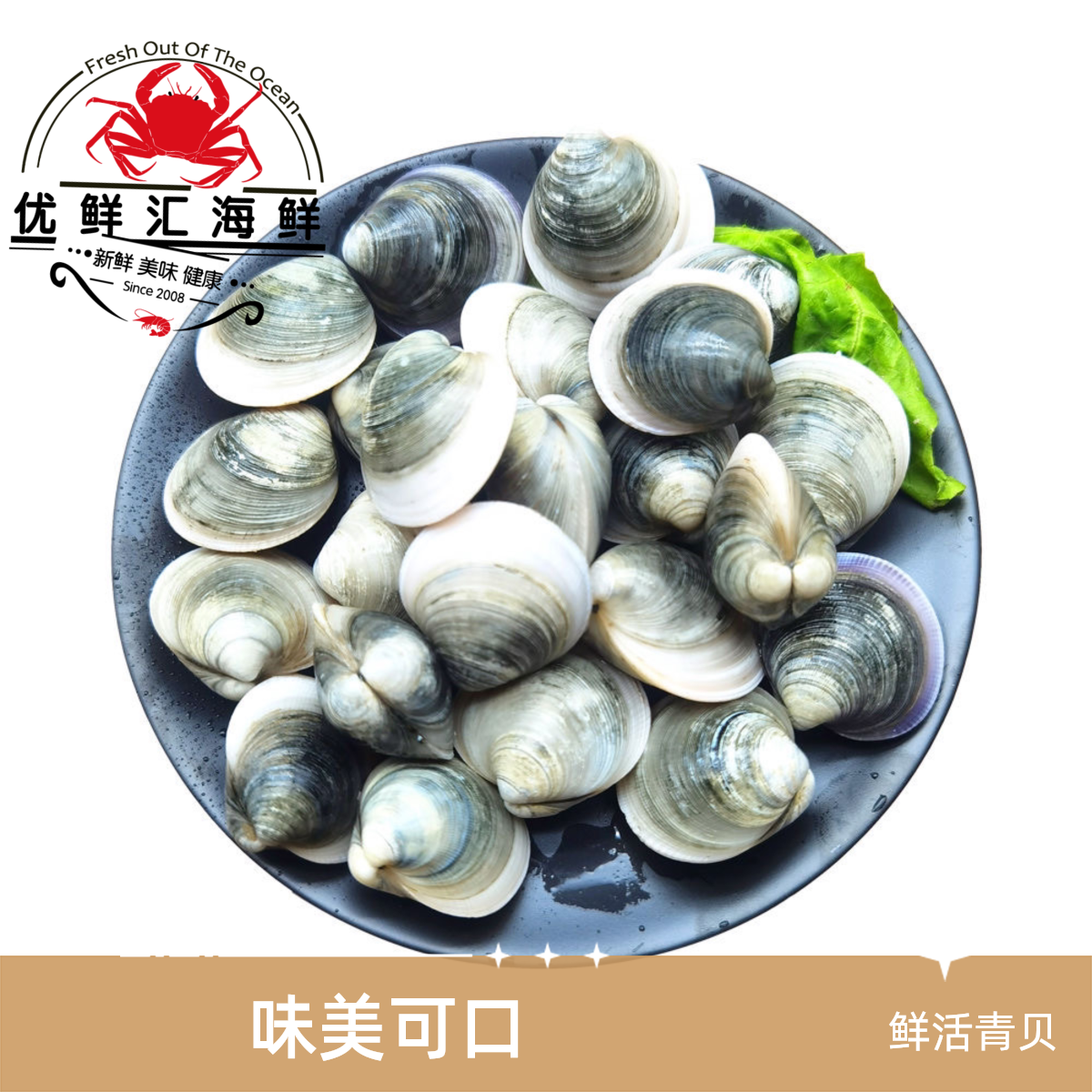 鲜活青贝 青蛤 500g