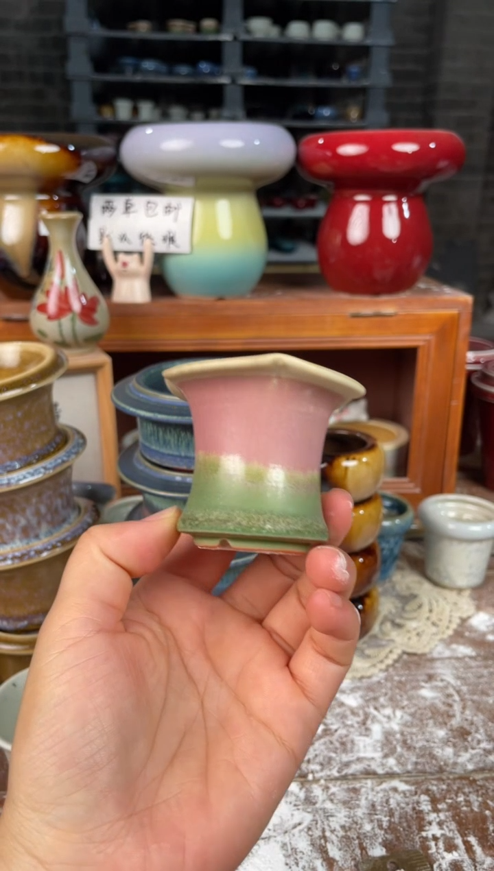 瓷片252小芳直播编号
