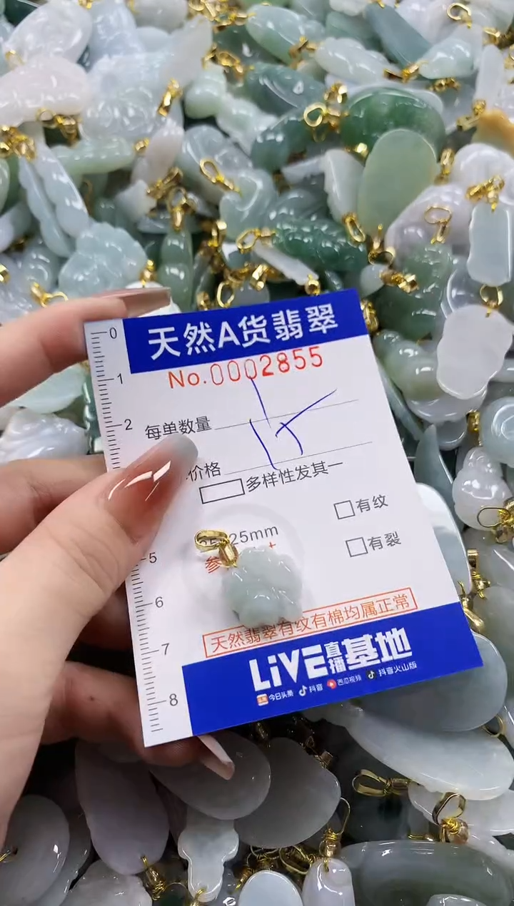 颈饰未镶嵌翡翠天然A货翡翠