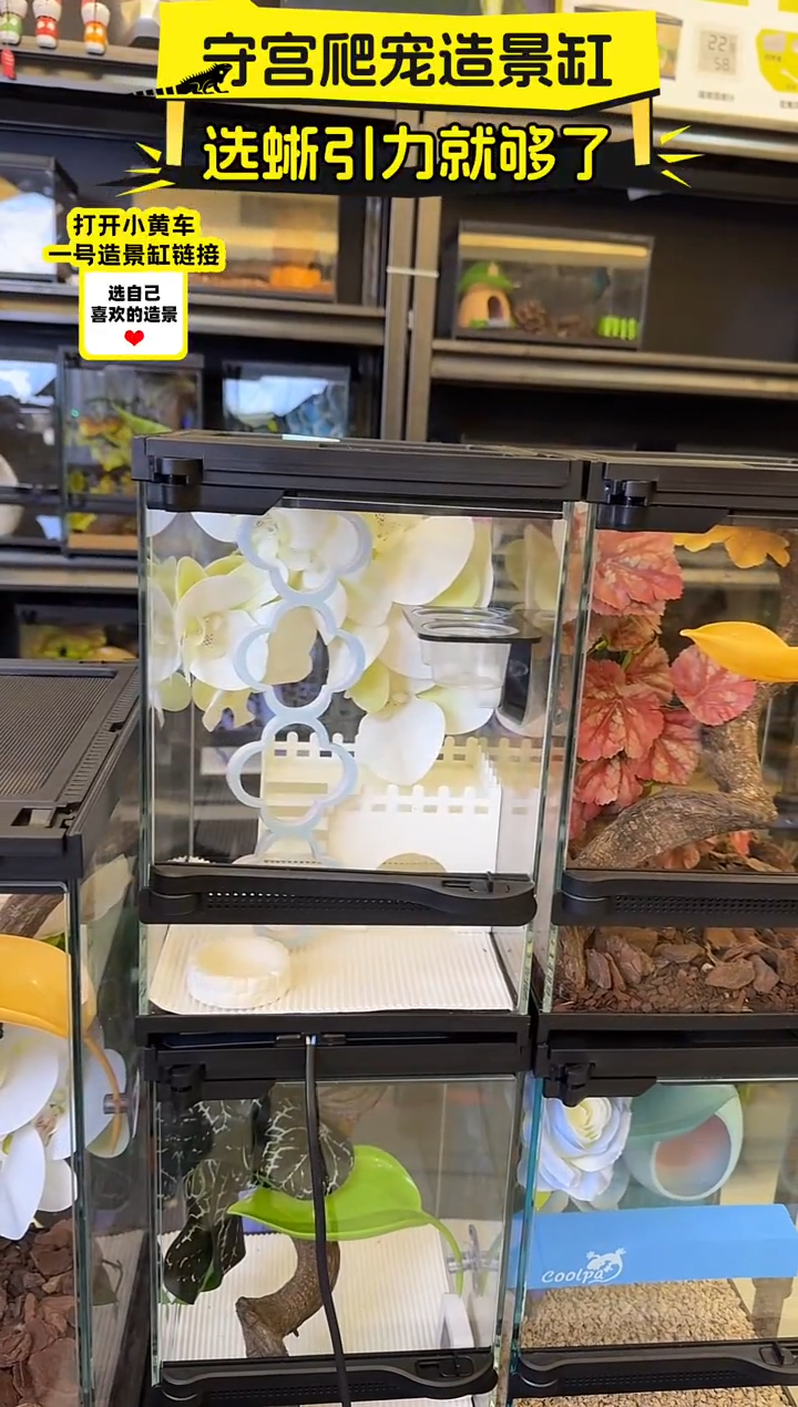 嘚巴嘚老师专拍（圣洁）造景包