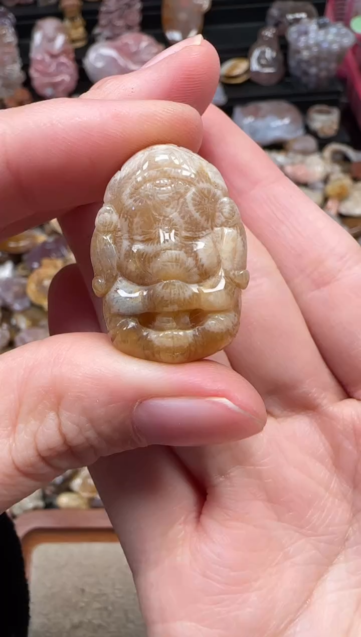 颈饰未镶嵌硅化珊瑚（珊瑚玉）311