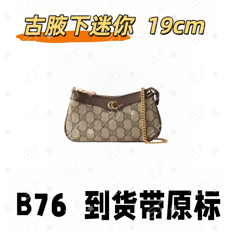 B76 古腋下迷你 19cm【 里外标全对】【有礼盒】【动态芯片】斜挎包