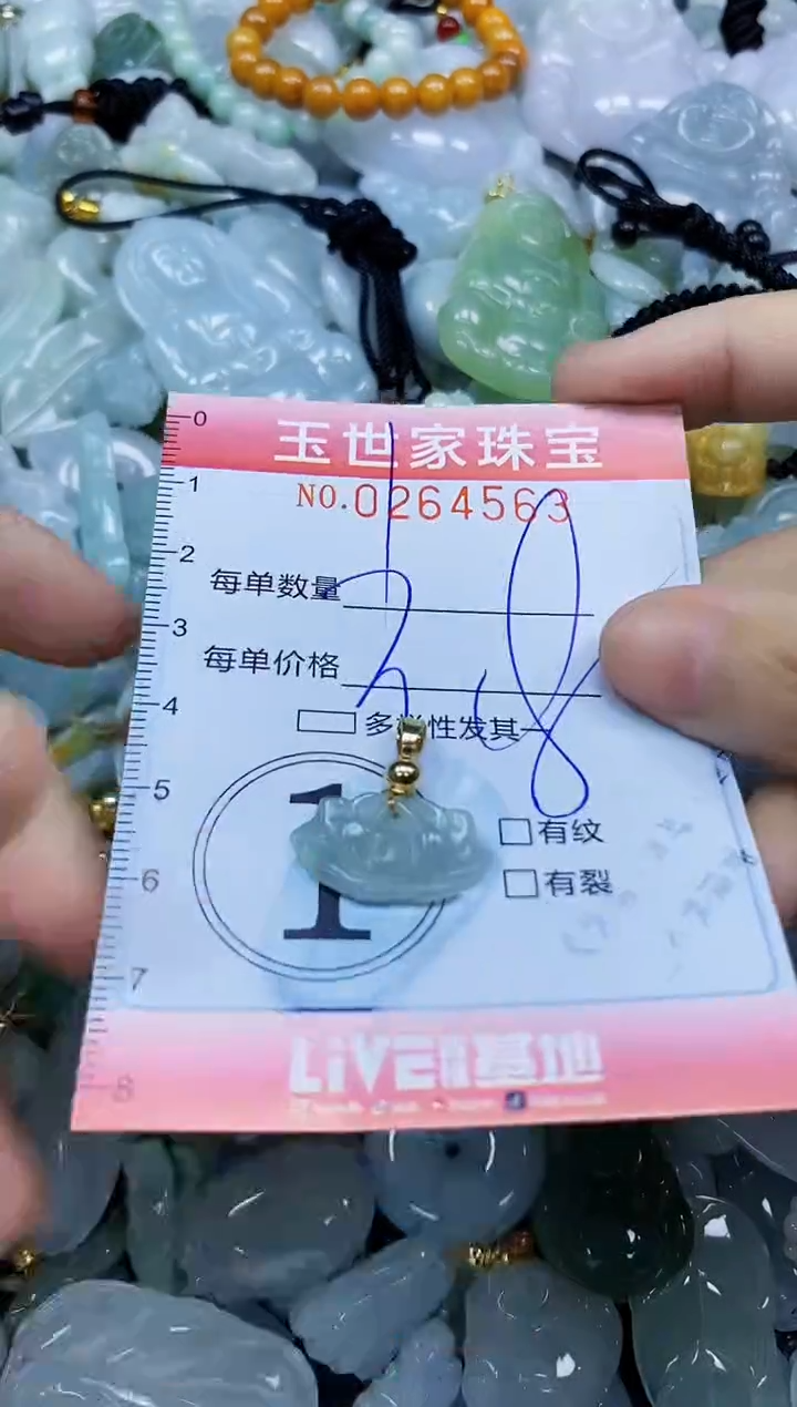 翡翠未镶嵌颈饰闪购0264563