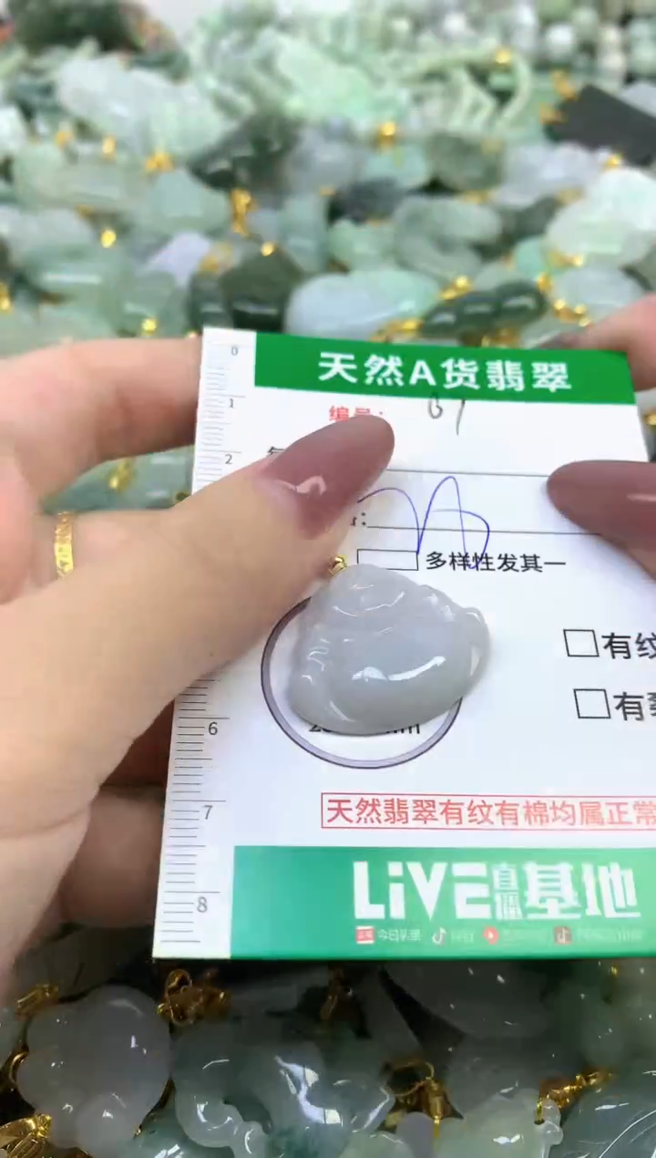 颈饰未镶嵌翡翠纯天然缅甸A货翡翠