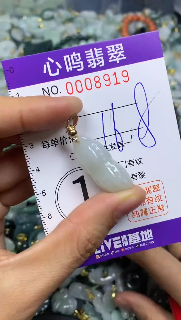 【闪购商品】翡翠颈饰未镶嵌闪购008919