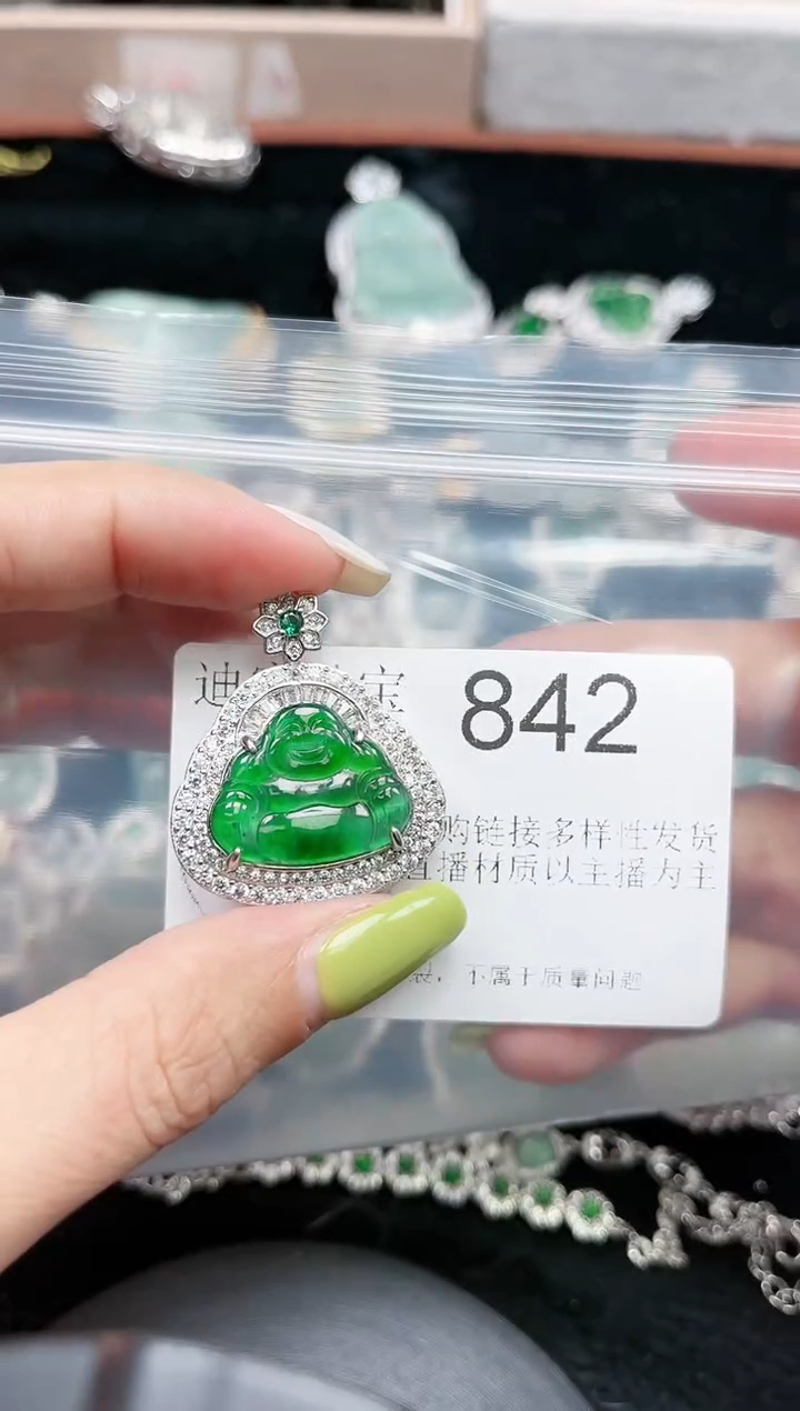 【闪购商品】翡翠颈饰未镶嵌赠皮绳842