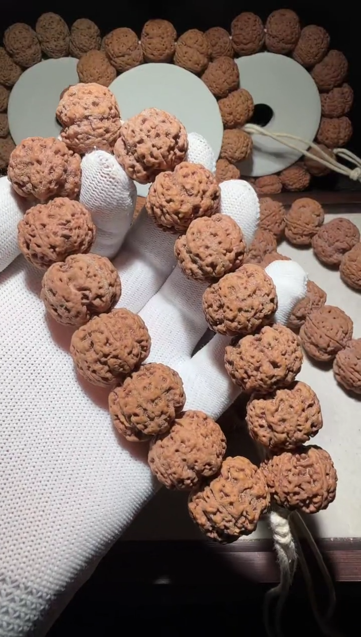 【闪购商品】金刚菩提手串超头龙牙粗筋双龙蜂王终结者23