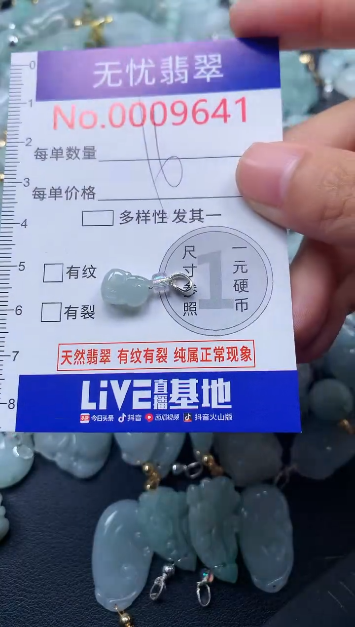 颈饰未镶嵌翡翠9641