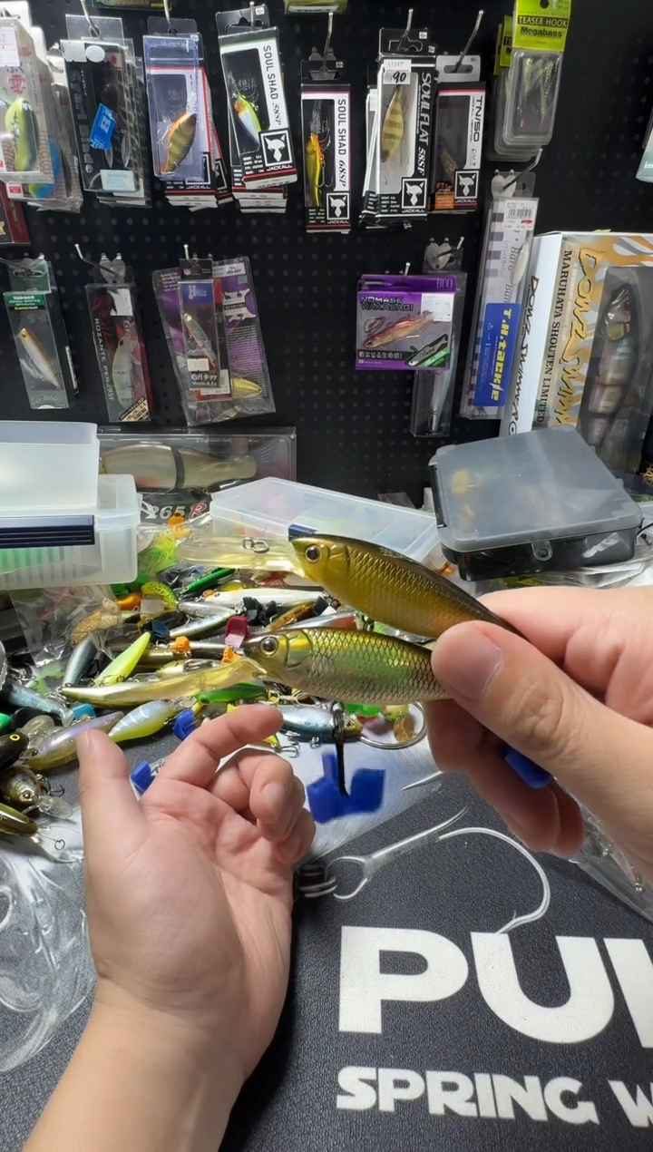 megabass x20两只八千克八千克