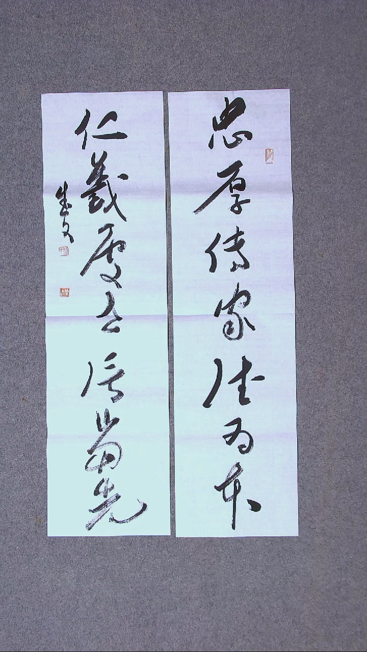 书法苟成文甘肃定西90*25尺寸