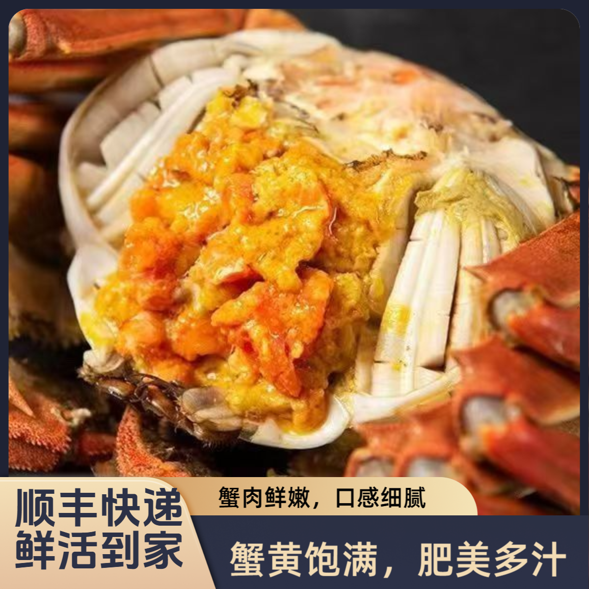 河蟹保活24只正宗河蟹鲜活到家公蟹1.1两-1.3两河蟹稻田蟹嫩江蟹