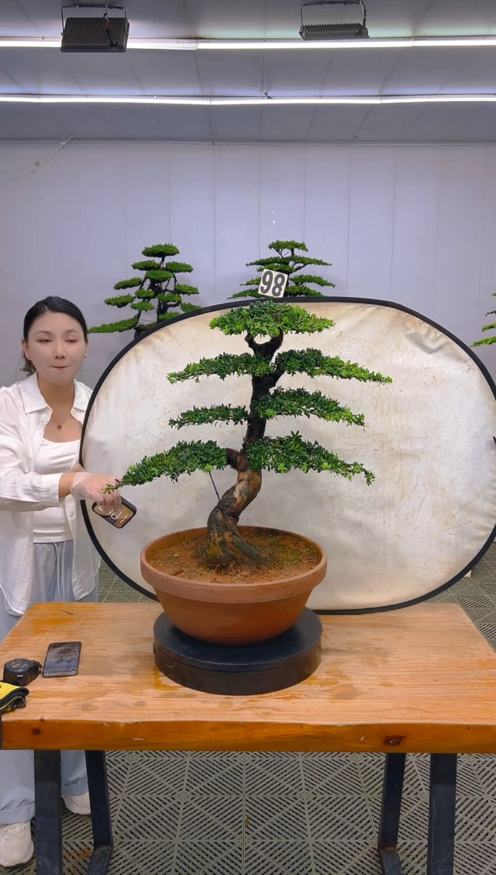 无花朵一物一拍一物一拍