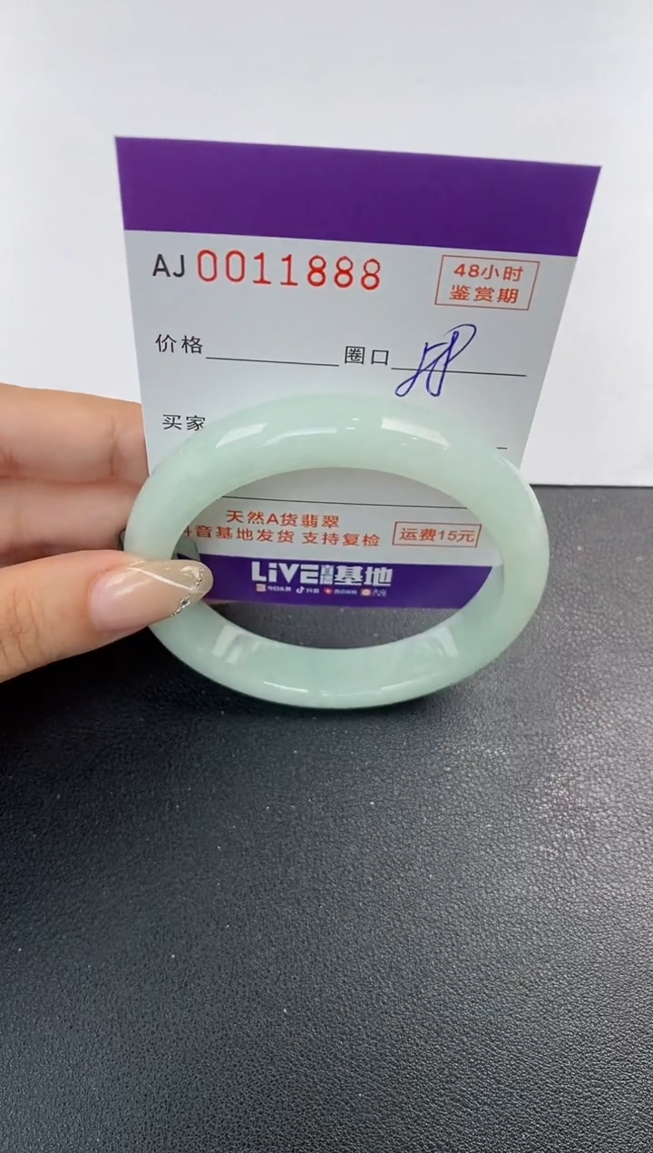 未镶嵌手镯翡翠天然A货翡翠