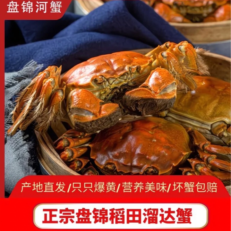 【全母蟹20只】盘锦稻田蟹﹝1.3～1两﹞在送4只到手24只～次日送达