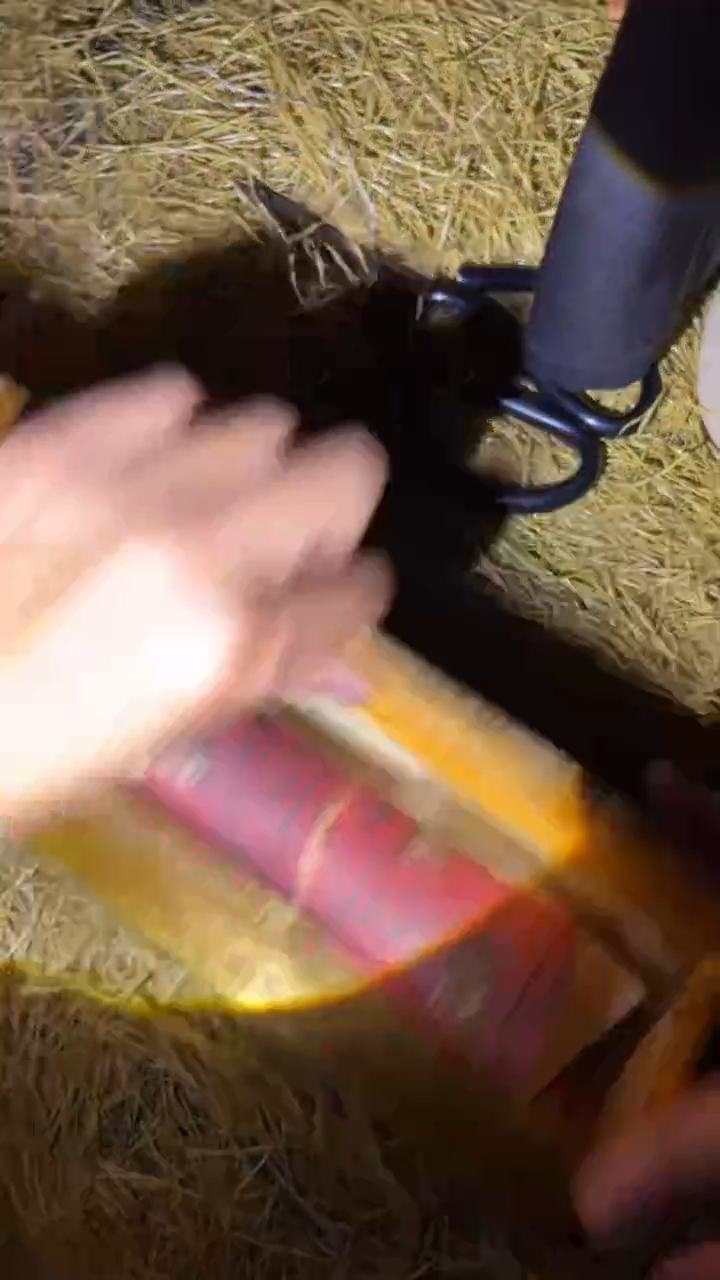 琪琪专属精品链接