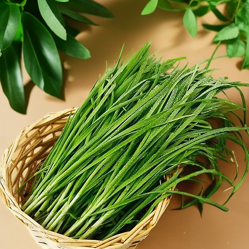 韭菜2500g