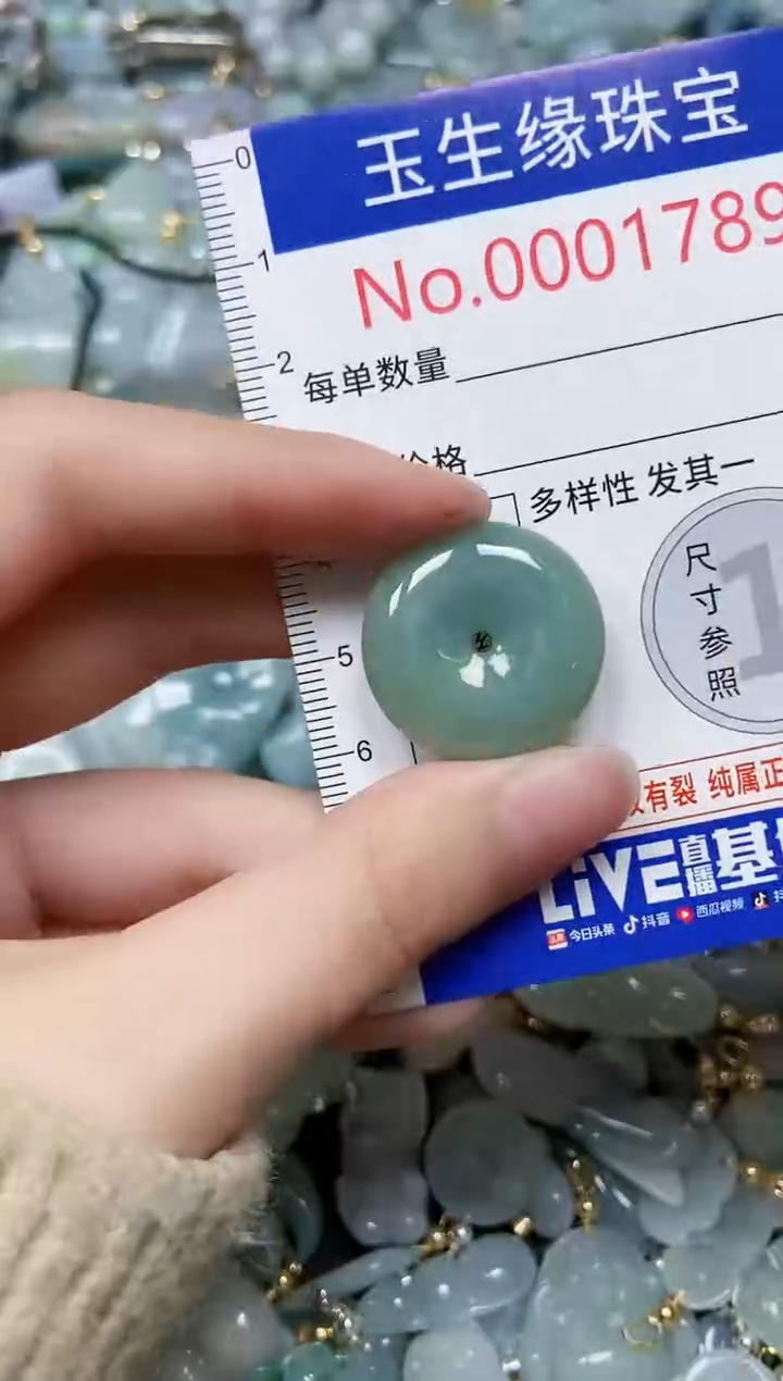 【闪购商品】翡翠颈饰未镶嵌闪购00001789