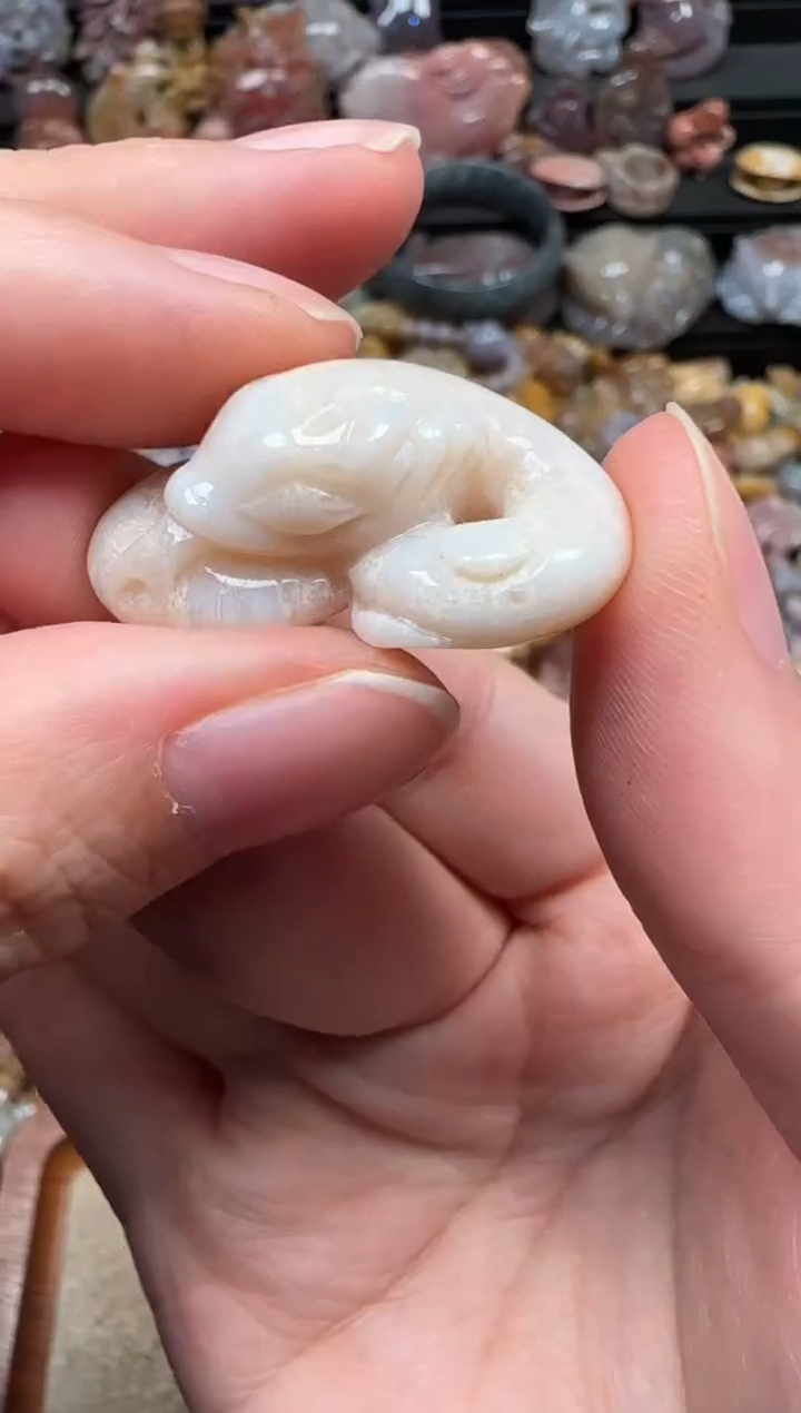 颈饰未镶嵌硅化珊瑚（珊瑚玉）209